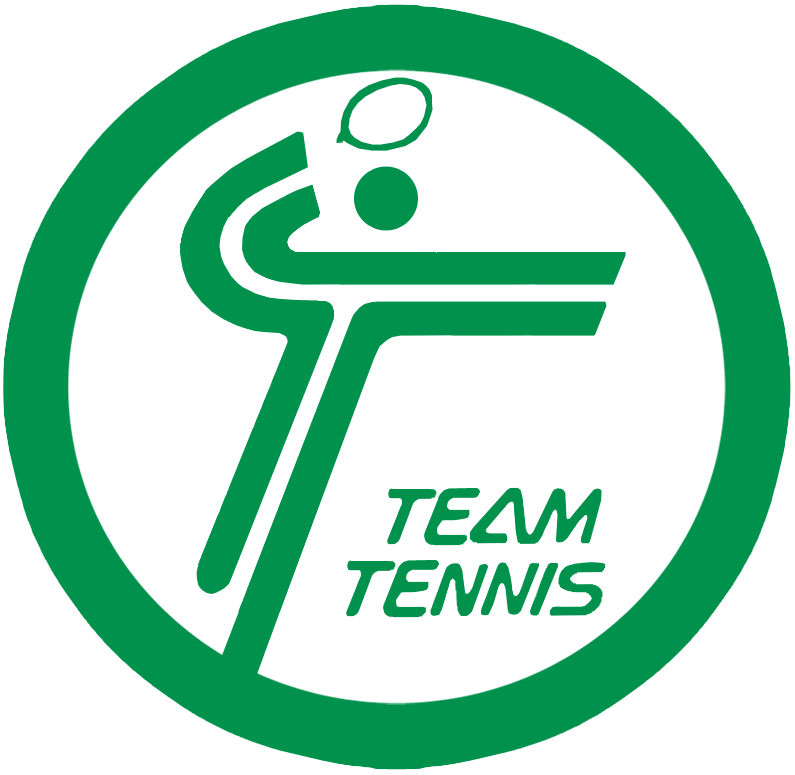 World TeamTennis 1981-1982 Primary Logo iron on paper